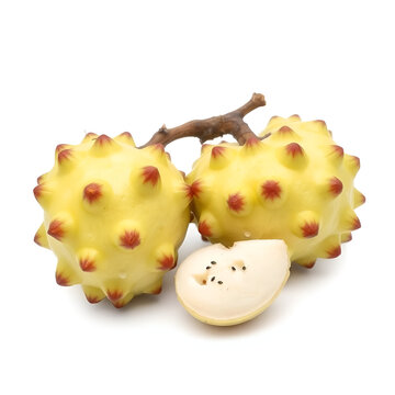 Rare medicinal fruit Ramphal , Annona reticulta or Wild sweetsop, custard apple fruit isolated on white background