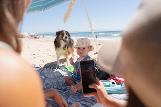 Child and dog at beach