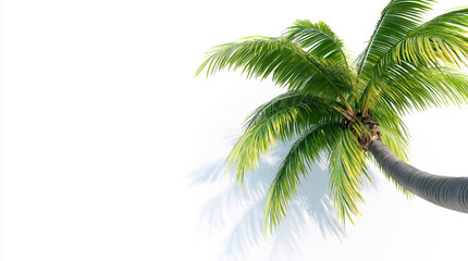 Fototapeta premium Palm leaves stretch towards the sky in bright sunlight, created AI