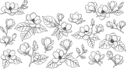 Intricate black and white magnolia floral illustrations with detailed petals, leaves, and stems, vector artwork for botanical, decorative, design themes © MstAlea