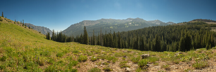 Fototapeta premium Panorama Of The Meadow At Moose Basin And Surrounding Mountains