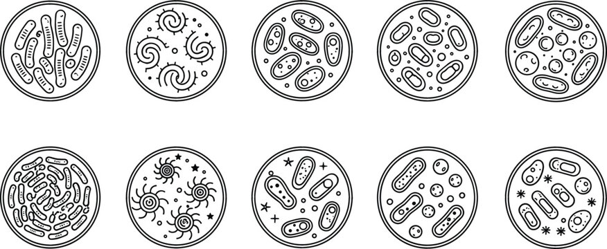 Microbiology petri dish icons set with various bacteria virus and cell cultures in black line art for science laboratory research