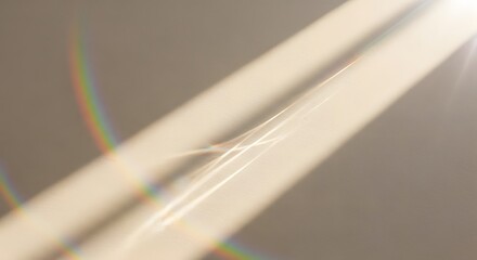 Fototapeta premium Rustic Aesthetic Close-up of White Twigs with Rainbow Reflections on Gray Surface, rrstk (219).jpg