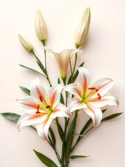 Fototapeta premium Composition with delicate lily flowers on light background