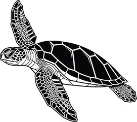 Sea turtle vector illustration, swimming pose design, geometric shell pattern, flippers scale detail graphic, black white bold marine art © MSTSHIULY