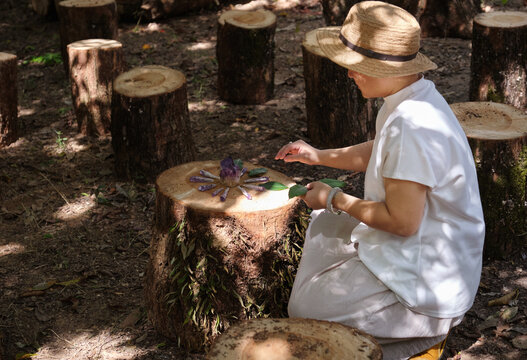 Asian woman creates a botanical crystal mandala on a tree stump 