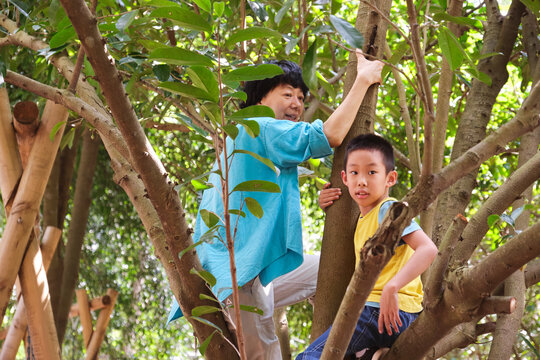 Asian mother and son climbing a tree and playing in the woods