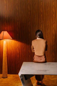 Back View Of Woman In Brown Satin Dress