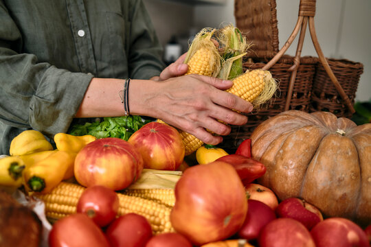 Harvest Market Scene With Fresh Produce, Pumpkin, Apples, Corn, Bread 