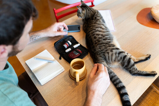 Lifestyle cat on table
