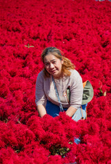 Woman Posing in a Field of Flowers