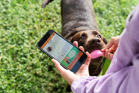 Dog walking app tracking