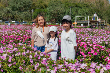 Family Poses in a Field of Flowers