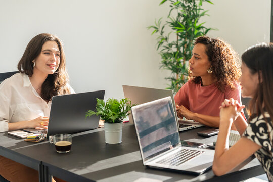 Team Meeting to Discuss Project Progress in a Modern Office