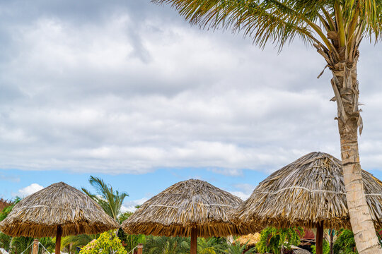 Thatch palm covered roofs at a holiday resort