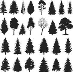 WebTree silhouette collection, diverse forest shapes, coniferous deciduous varieties, natural woodland, outdoor landscape, eco environment, design element, botanical study, flat vector illustration © Noman