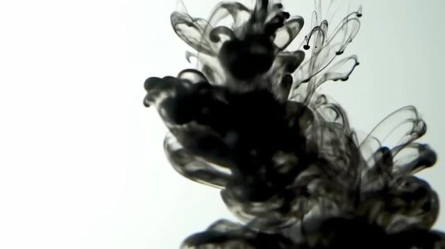 Black ink is dissolving and spreading in clear water, creating an abstract and dynamic effect against a white