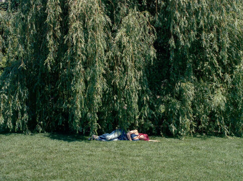 Woman lying on the grass in a park under a willow tree