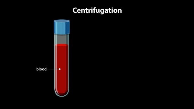 Medical Animation of Blood Centrifugation Process and Component Separation