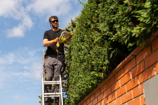 Man Trims Bushes 