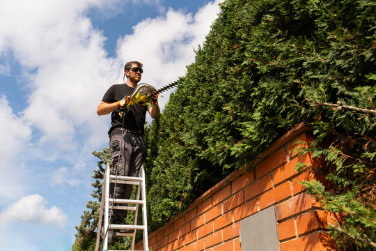 Man Trims Bushes 