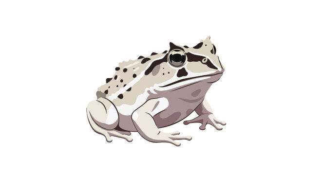Detailed vector illustration of a unique horned frog showcasing its distinct patterns and textures artwork for nature concepts
