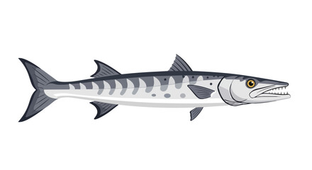 Obraz premium Dynamic barracuda fish illustration showcasing its sleek, powerful aquatic form and formidable predatory features, an oceanic hunter graphic
