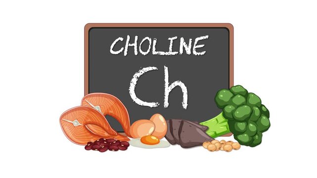 Choline Sources Displayed with Blackboard and Healthy Foods Animation