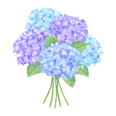 水彩で描いた紫陽花の花束