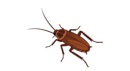 Detailed illustration of a common household pest, showcasing its distinct brown segmented body, long antennae, and spiky legs against a stark white