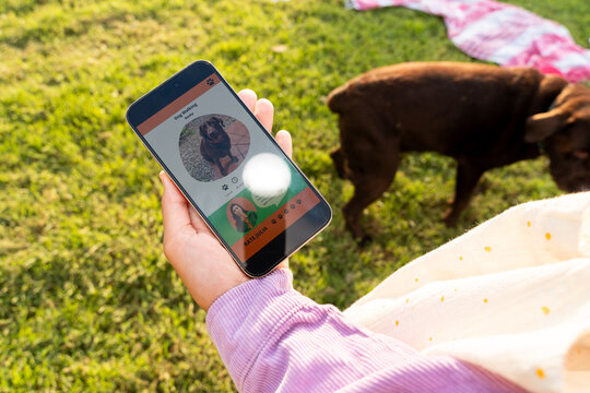 Dog walker app profile