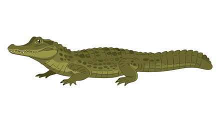 Naklejka premium A captivating stylized green alligator illustration showcasing its distinctive scales and powerful form. This vibrant cartoon reptile artwork