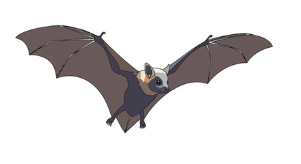 Obraz premium Detailed illustration of a fruit bat in flight. A beautiful nocturnal creature with open wings against a white background, perfect for educational