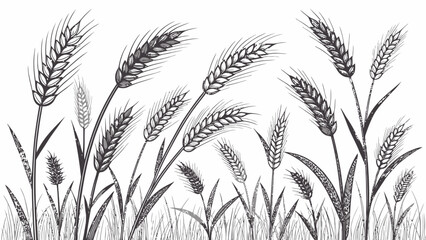 Fototapeta premium Elegant wheat stalks swaying in the breeze naturally