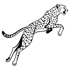 Fototapeta premium cheetah vinyl ready vector illustration