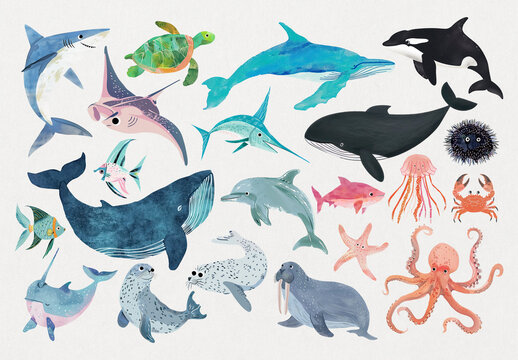 Colorful Marine Life Illustrations Element Set
