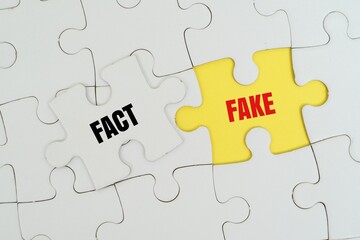 Fototapeta premium FACT, FAKE word alphabet letters on puzzle