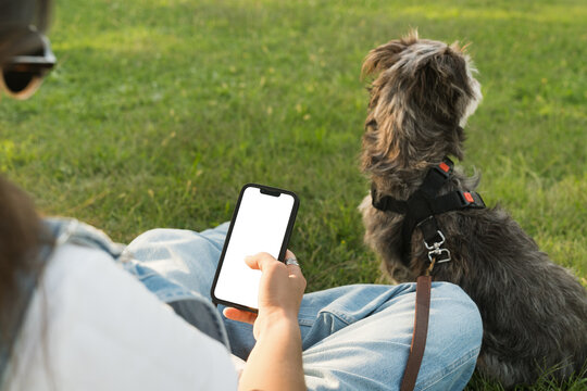 Enjoying a sunny afternoon with a dog in the park