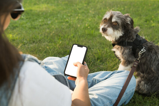 Enjoying a sunny day in the park with a loyal dog companion