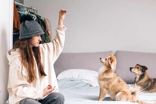 A woman on a bed with her two dogs 