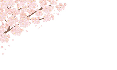 桜　壁紙　フレーム　背景　春　sakura_frame © Haluhana