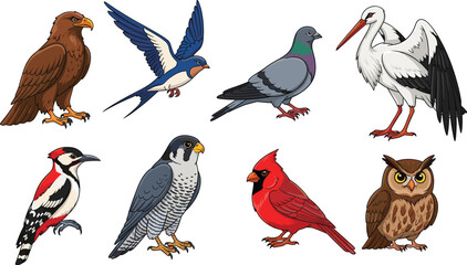 Naklejka premium Detailed Bird Vector Set Featuring Eagle Falcon Owl Woodpecker Swallow Pigeon Stork and Cardinal for Nature Education Wildlife Conservation and Ornithology Graphic Designs