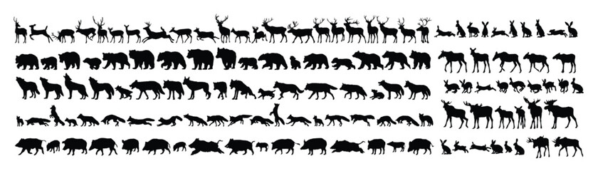 Fototapeta premium big set of silhouettes of forest animals