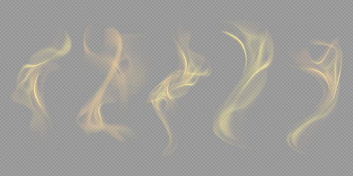 Realistic white cloud or fire smoke in the sky and vector weather element on transparent background. Chimney smoke, fog wave or cloud pattern with overlay effect. Cloud art or smoky air illustration.