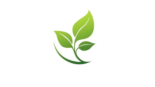 Green Eco Leaf Logo Animation  Nature Environmental Motion Graphic