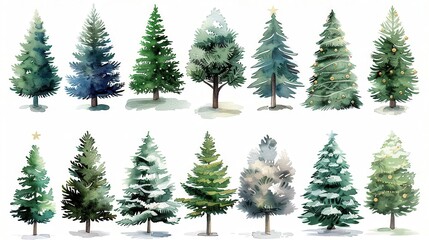 Obraz premium Watercolor illustrations of 14 different decorated and undecorated pine trees in a row on a white background.