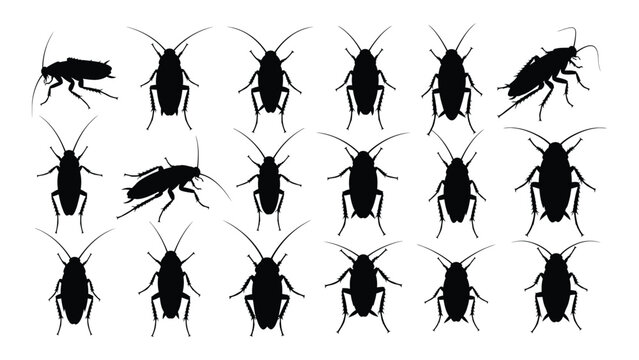 A group of black cockroaches on a white background isolated on white background, Vector