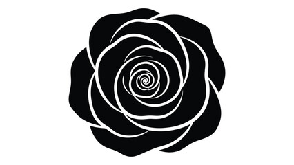A black and white image of a rose isolated on white background, Vector