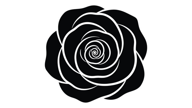 A black and white image of a rose isolated on white background, Vector