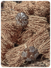 Racines de v&eacute;tiver